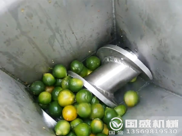 水果壓榨機廠家 水果壓榨機廠家