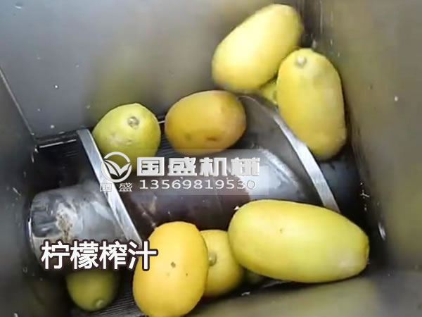 國盛新款大型檸檬榨汁機(jī) 國盛新款大型檸檬榨汁機(jī)